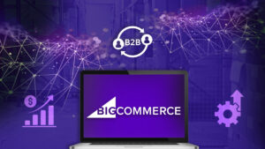 BigCommerce B2B Solutions