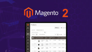 Add Product to Cart with a Custom Option in Magento 2